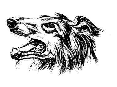 Köpek kömür ocağı vintage illüstrasyon vektör el çekilmiş