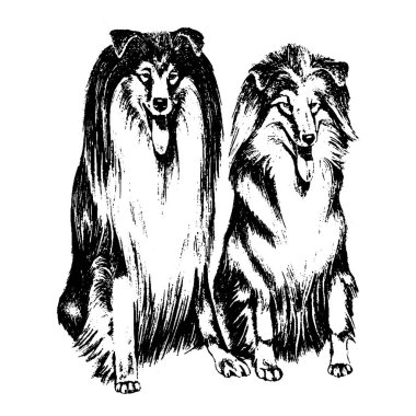 Köpek kömür ocağı vintage illüstrasyon vektör el çekilmiş