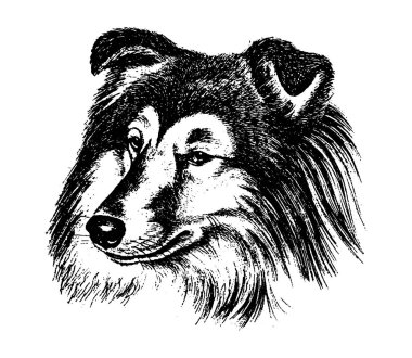 Köpek kömür ocağı vintage illüstrasyon vektör el çekilmiş