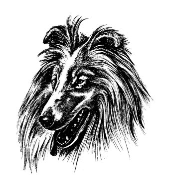 Köpek kömür ocağı vintage illüstrasyon vektör el çekilmiş