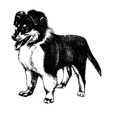 Köpek kömür ocağı vintage illüstrasyon vektör el çekilmiş