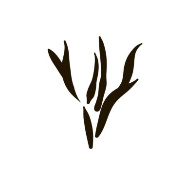 Beyaz arka plan üzerinde kadın vajina simge tasarlamak vektör