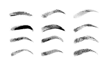 Eyebrow shapes. Various types of eyebrows. Classic type and other. Trimming. Vector illustration with different thickness of brows. Makeup tips. clipart