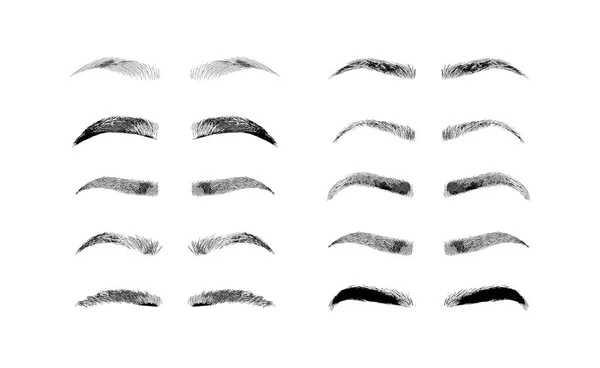 Formas de cejas. Varios tipos de cejas. Tipo clásico y otros. Recorte. Ilustración vectorial con diferentes espesores de cejas. Consejos de maquillaje . — Vector de stock