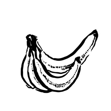Vektör el çekilmiş siyah renk beyaz zemin üzerine muz taslağını