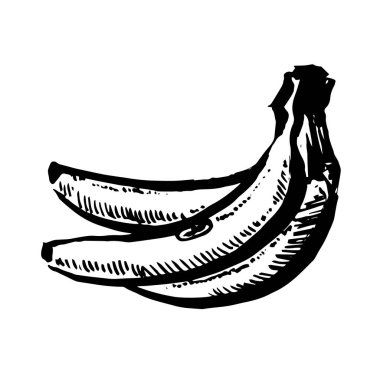 Vektör el çekilmiş siyah renk beyaz zemin üzerine muz taslağını