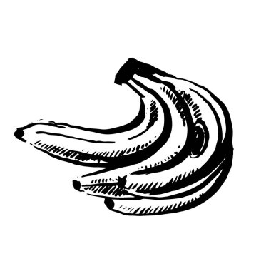 Vektör el çekilmiş siyah renk beyaz zemin üzerine muz taslağını