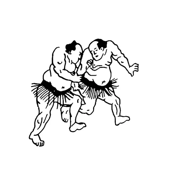 Illustration dessinée à la main de lutteurs sumo homme se battent sur fond blanc — Image vectorielle