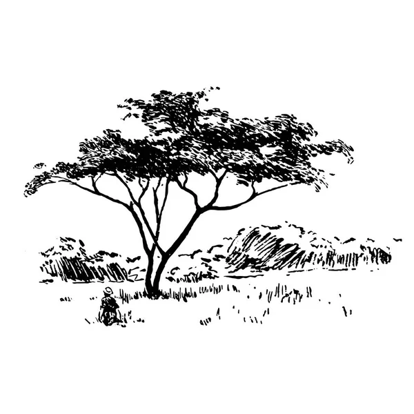 Safari africano dibujado a mano naturaleza paisaje negro sobre fondo blanco — Archivo Imágenes Vectoriales