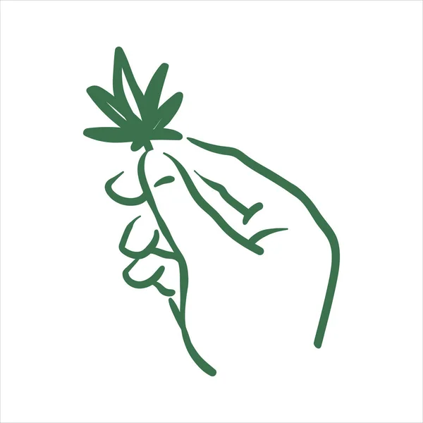 Vector hand getrokken cannabis in hand illustratie op witte achtergrond — Stockvector