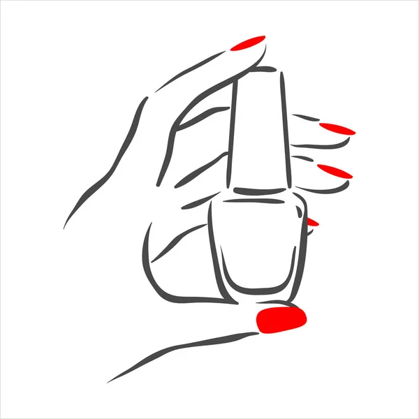 Vector hand drawn illustration of manicure and nail polish on woman hands — Stock Vector