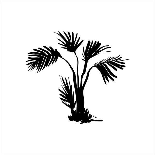 トロピカルヤシの木のベクトル手描きイラスト — ストックベクタ