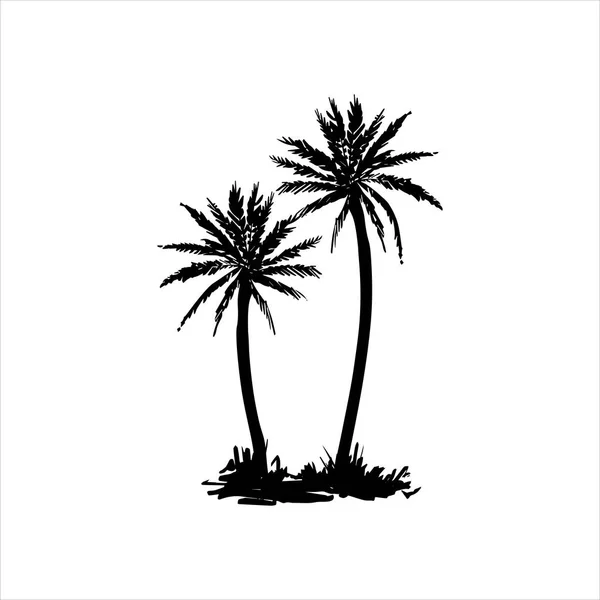 Vector hand getekende illustratie van tropische palmboom — Stockvector