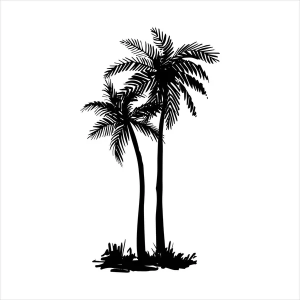 Vektor handgezeichnete Illustration der tropischen Palme — Stockvektor