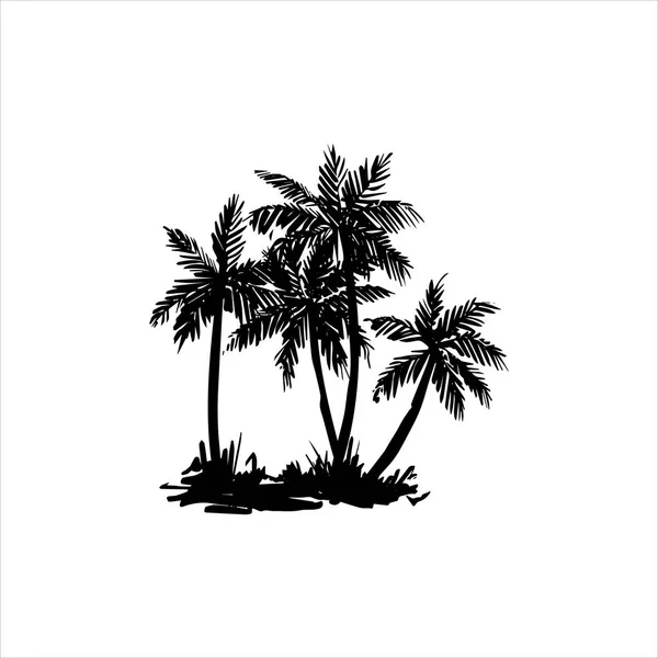 Ilustración dibujada a mano vectorial de palmera tropical — Vector de stock