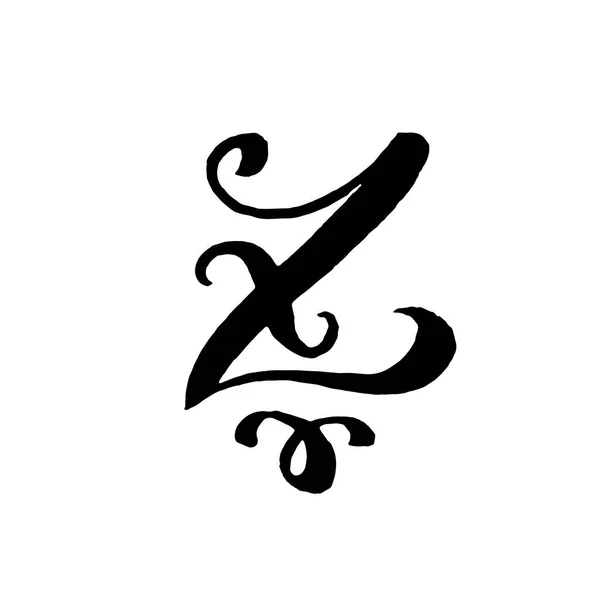 美しい手書きの大文字Z白い背景にカール — ストックベクタ