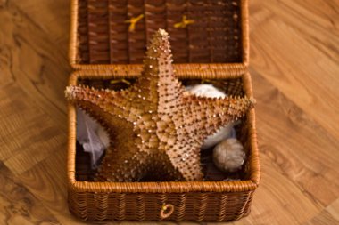 Deniz yıldızıyla sepet