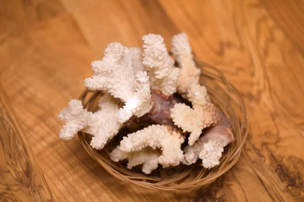 Coral marinho na decoração cesta de vime — Fotografia de Stock