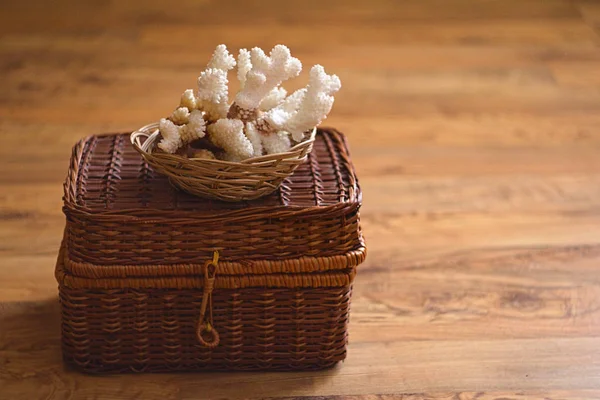 White Sea Coral on a wicker box with copyspace