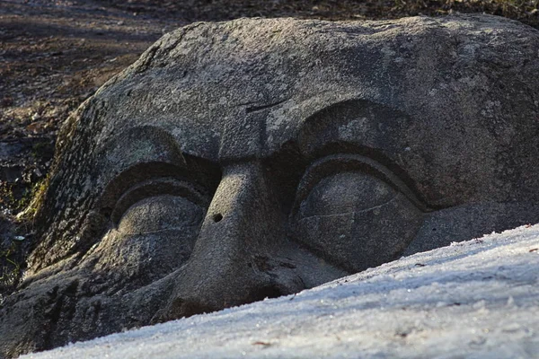 Stone head on the ground landscape park in Petergof in Russia — Stock Photo, Image