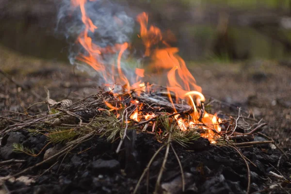 Een vreugdevuur van de afgelopen jaren droge takken en oude schors fakkels op de grond. — Stockfoto