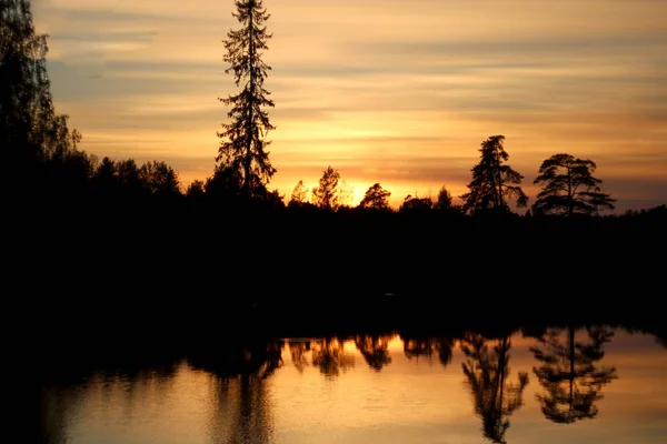 Sfondo Siluet foreste vicino al lago. Il cielo del tramonto e gli alberi alti si riflettono nell'acqua . — Foto Stock