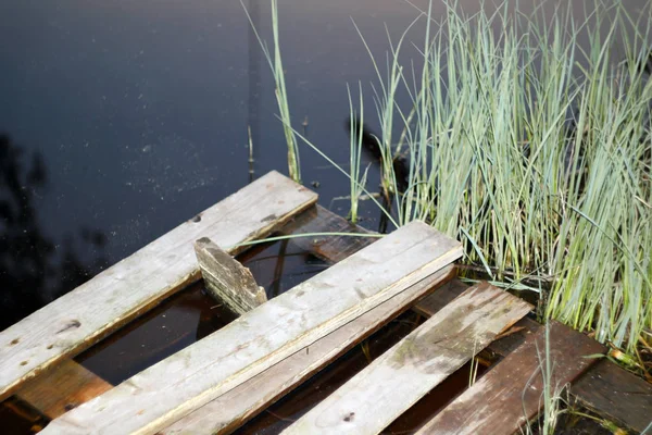 Hintergrund Kaputte Holzbrücke aus Brettern im Wasser des Sees — Stockfoto