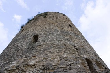 Gökyüzüne karşı tahrip boşluklar ile Ortaçağ yuvarlak sur kulesi. Duvar filizlenmiş çalı arasında. Hatları koruyan antik kale.
