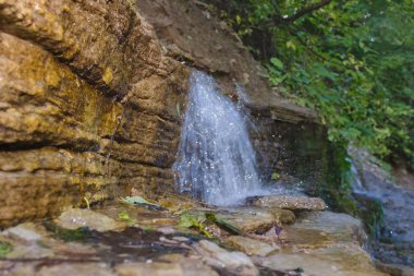 Su kaynağı doğal taş duvarından akar. Yeşil bitkiler ile çevrili ıslak taşlar. Dinlenmek ve meditasyon yapmak için bir yer.