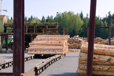 İşlenmiş kütükler yaz aylarında ahşap sıralama hattı üzerinde açık havada yalan. Doğal bir ağaçtan Üretim Yapı malzemeleri.