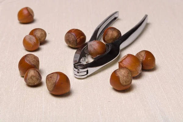 Pozadí - Kovové ořechy kleště a celé zralé lískové ořechy posypané lehkou látkou detailní up s kopírovacím prostorem — Stock fotografie