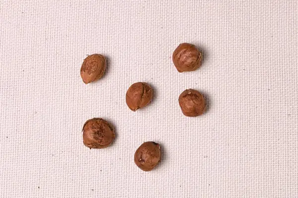 Bohaté na bílkoviny a živiny Lískové ořechy posypané lehkou látkou detailní záběr s kopírovacím prostorem — Stock fotografie
