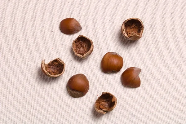 コピースペースのある布の上にナッツの殻 — ストック写真