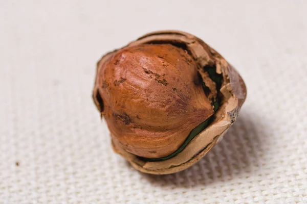 Makro popraskané skořápkové ořechy na hrubém lehkém ubrusu. Backgroun — Stock fotografie
