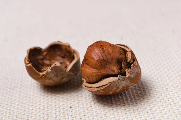 Macro agrietado Shell tuerca y concha en mantel de luz áspera — Foto de Stock