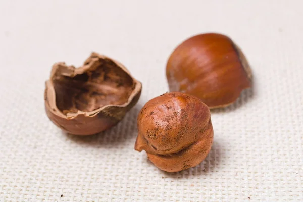 Nutrientes Nueces de avellana en un primer plano de tela ligera con espacio de copia — Foto de Stock