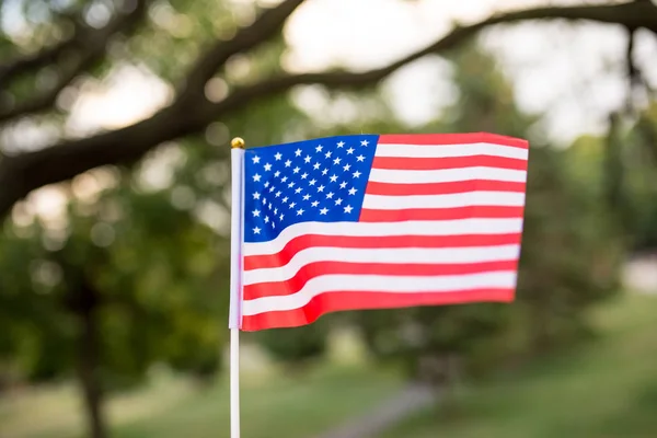 Close-up view of American flag in the public park
