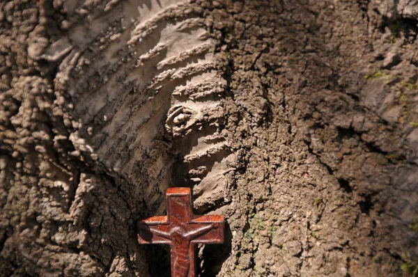 Old wooden cross on the tree
