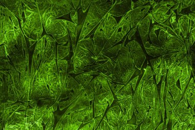 Dekoratif yeşil doku. Soyut suluboya arka plan