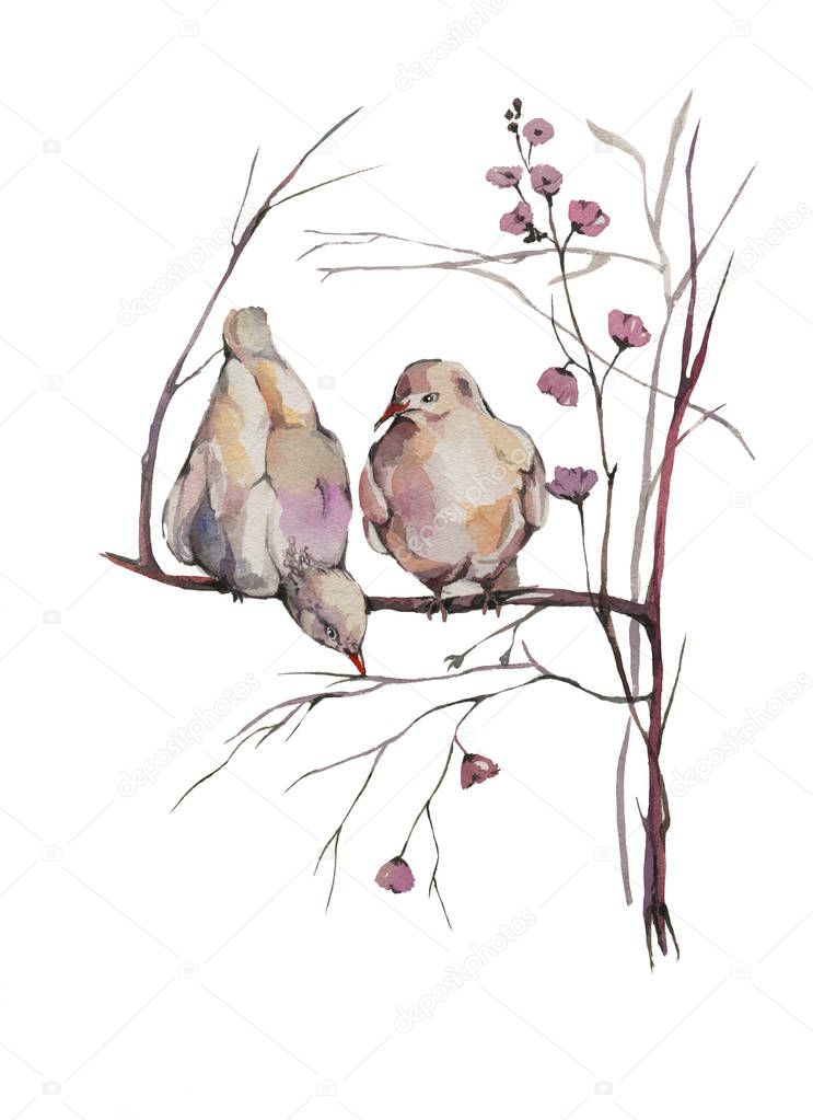 Watercolor bright hand-drawn birds on the white isolated background. 