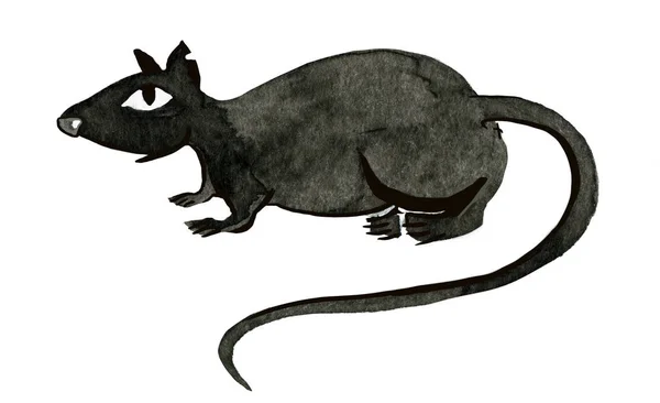 Svart Bläck Råtta Den Vita Bakgrunden — Stockfoto