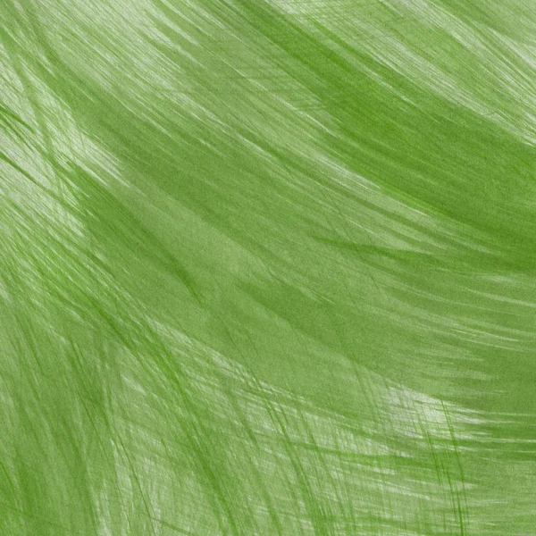 Fundo Verde Abstrato Textura Decorativa Padrão — Fotografia de Stock