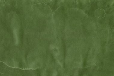 Yeşil arka plan. Dekoratif doku, desen 