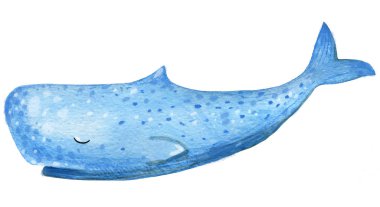 Beyaz izole arka plan üzerinde suluboya parlak elle çizilmiş balina. 
