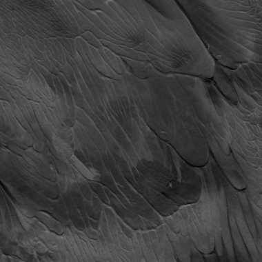 Koyu arka plan, dekoratif doku