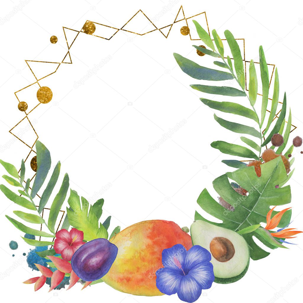 exotic fruit and leaves on white background