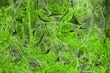 Dekoratif yeşil doku. Soyut suluboya arka plan