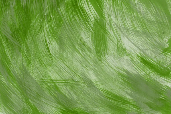 Fundo Verde Abstrato Tintas Misturam Textura Decorativa — Fotografia de Stock