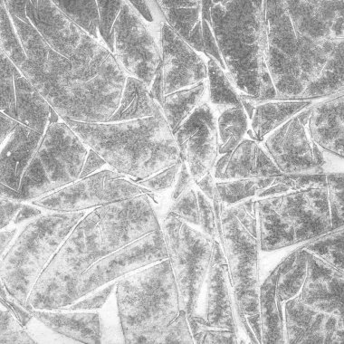 Boyama dekoratif doku soyut gri arka plan