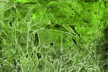Dekoratif yeşil doku. Soyut suluboya arka plan